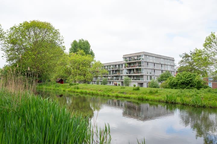 Foto 2 van Cantharel 52