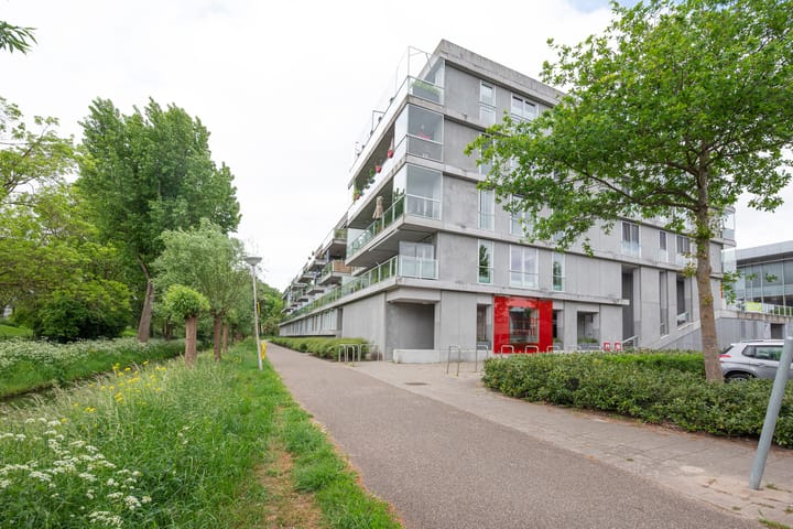 Foto 3 van Cantharel 52