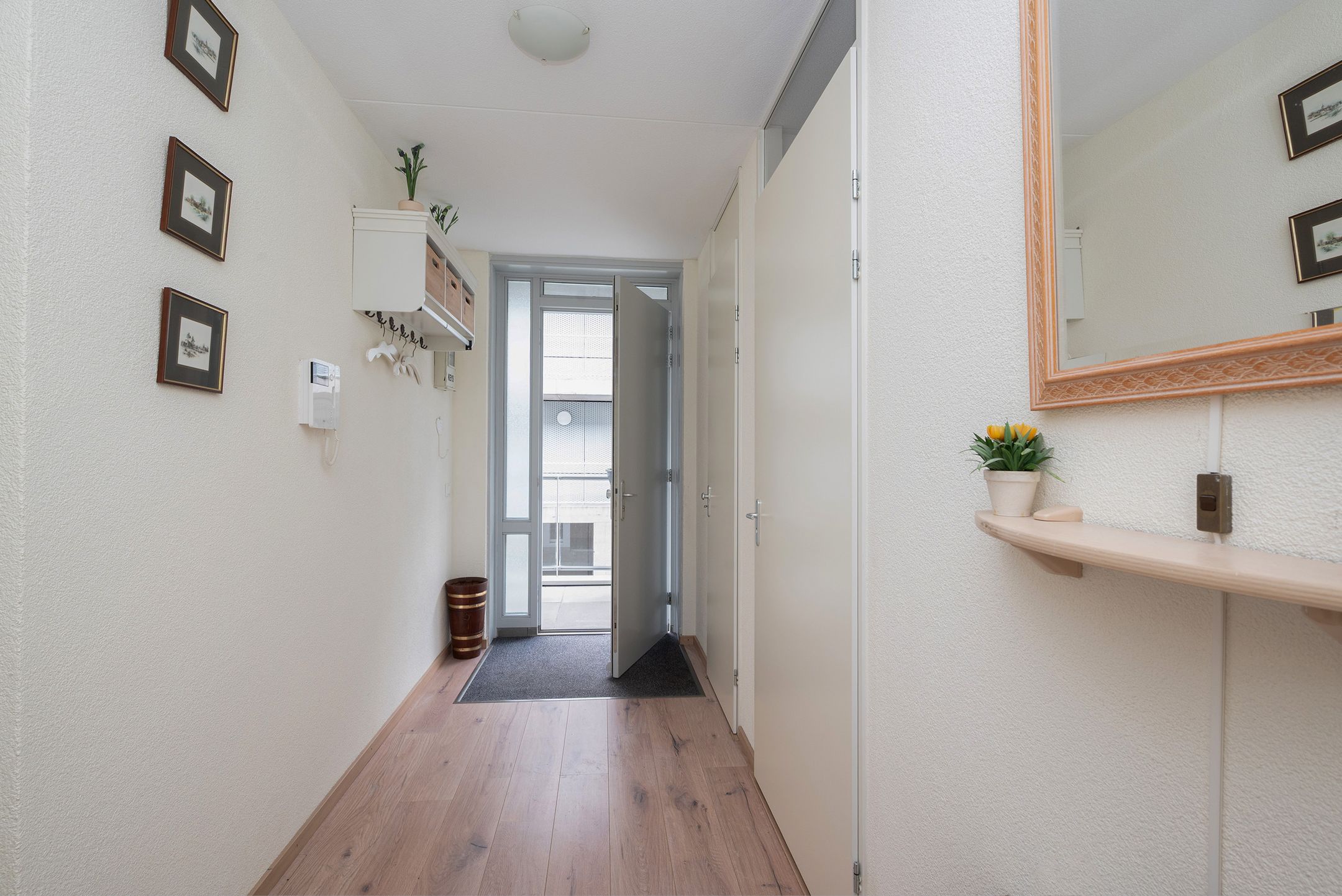 Foto 6 van Cantharel 52