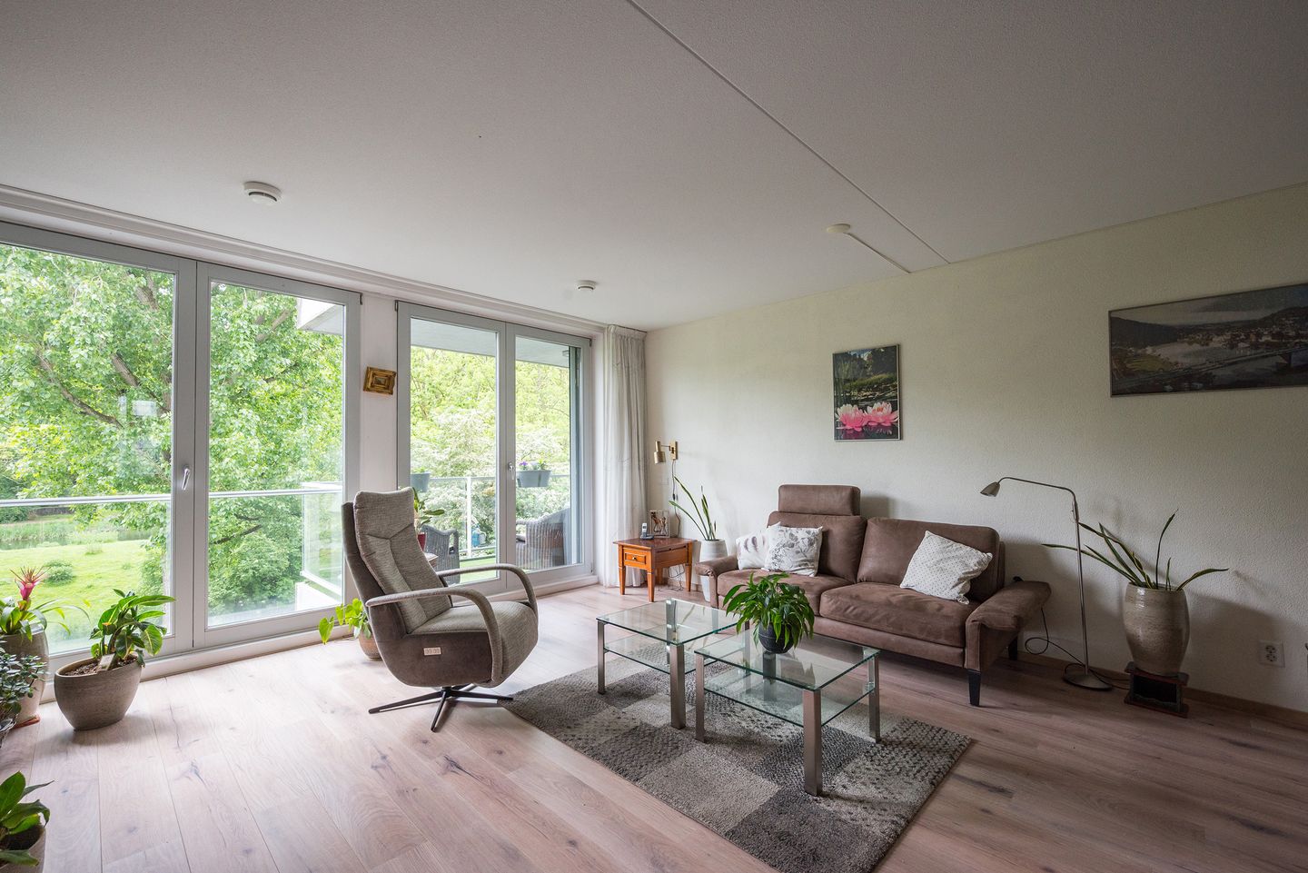 Foto 10 van Cantharel 52