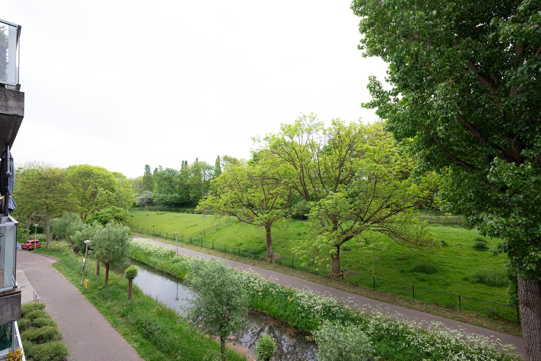 Foto 13 van Cantharel 52