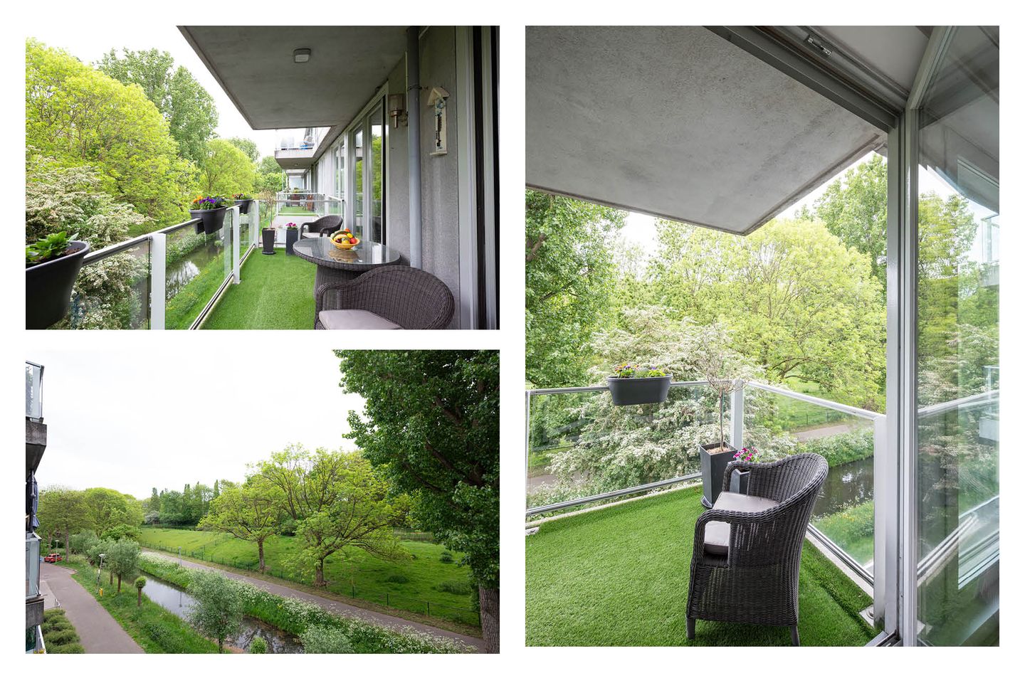 Foto 14 van Cantharel 52