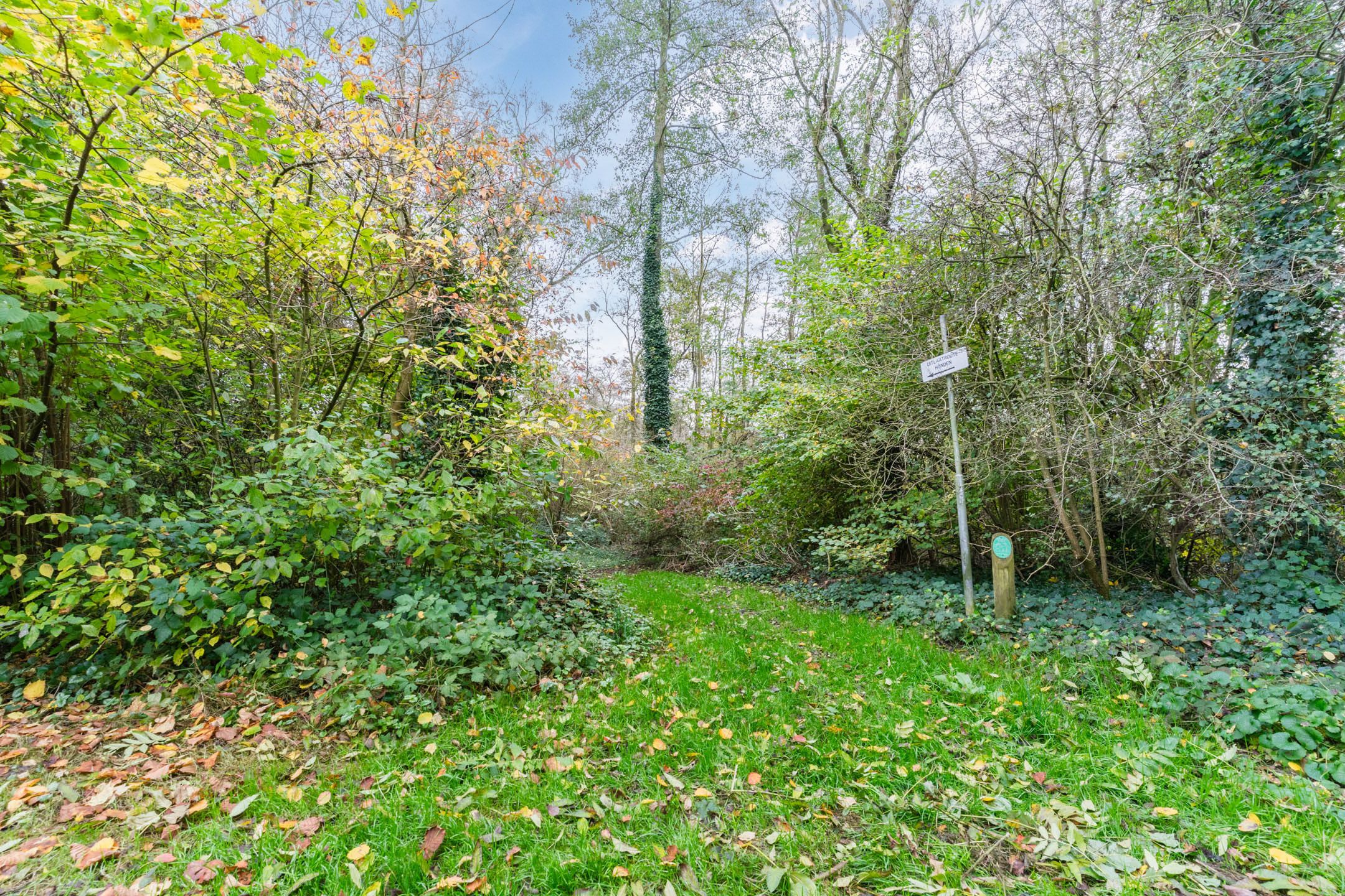 Photo 24 of Adelaartlaan 102