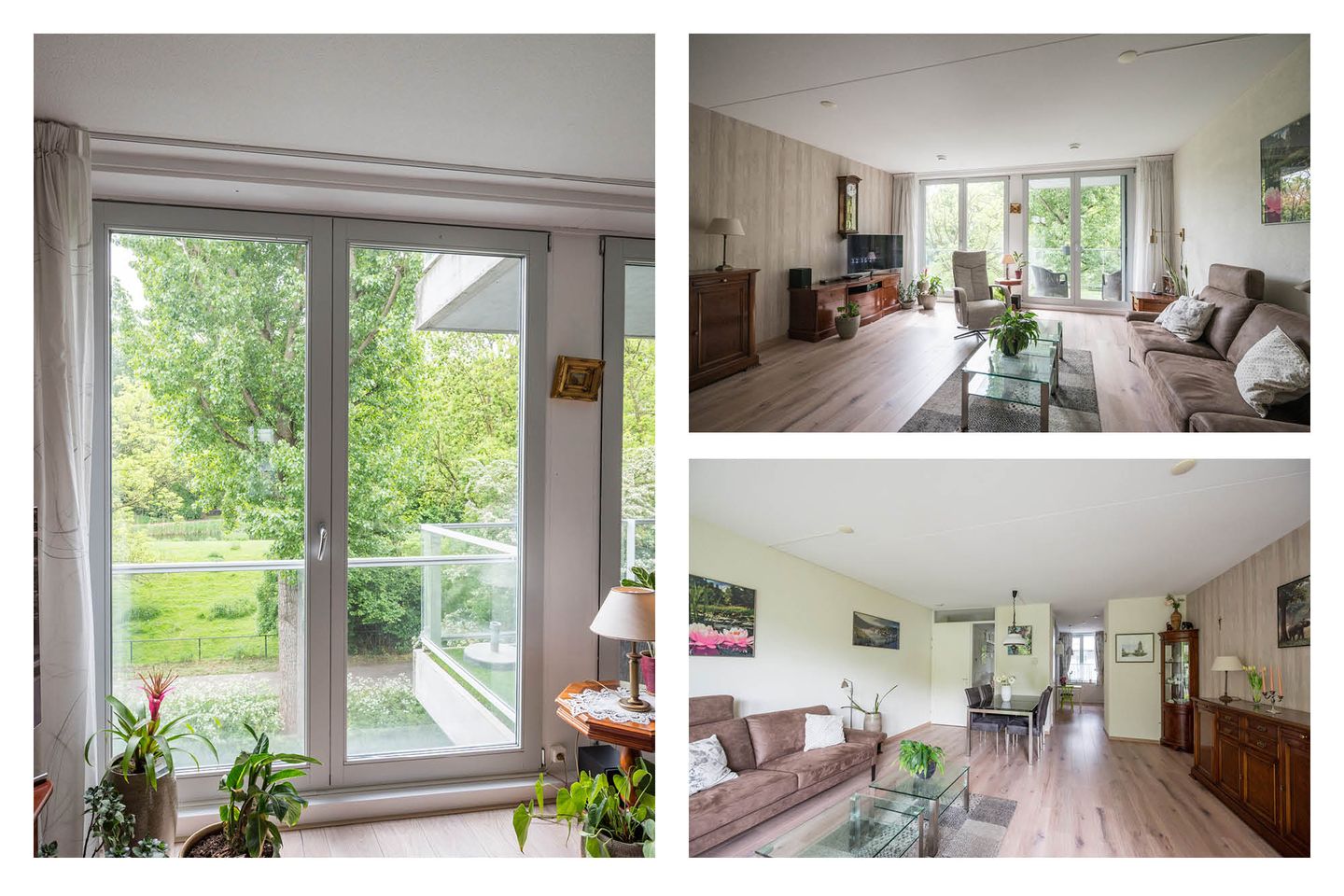 Foto 20 van Cantharel 52