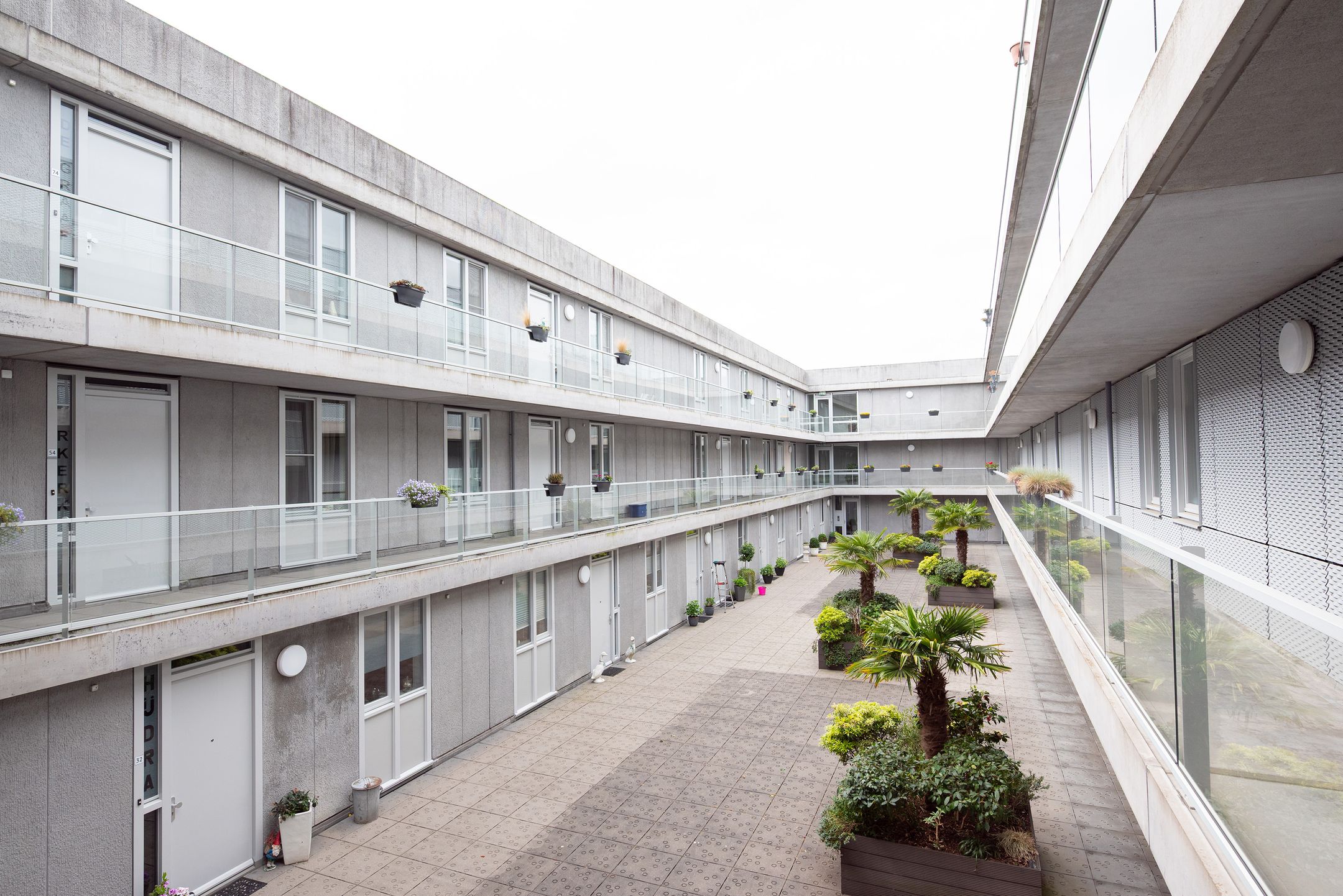 Foto 30 van Cantharel 52