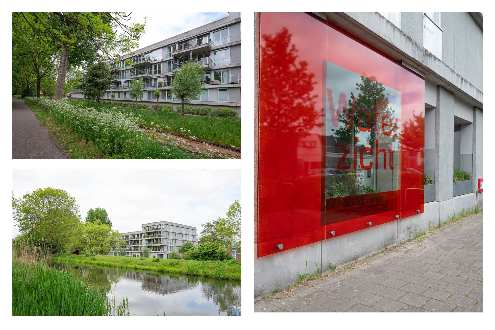 Foto 33 van Cantharel 52