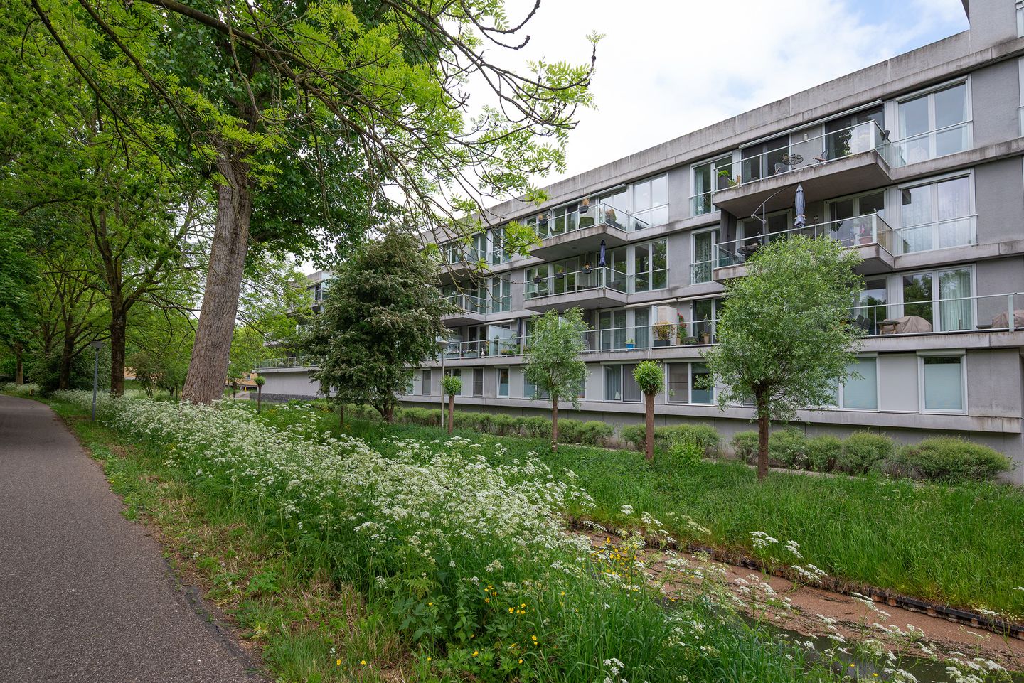 Foto 34 van Cantharel 52