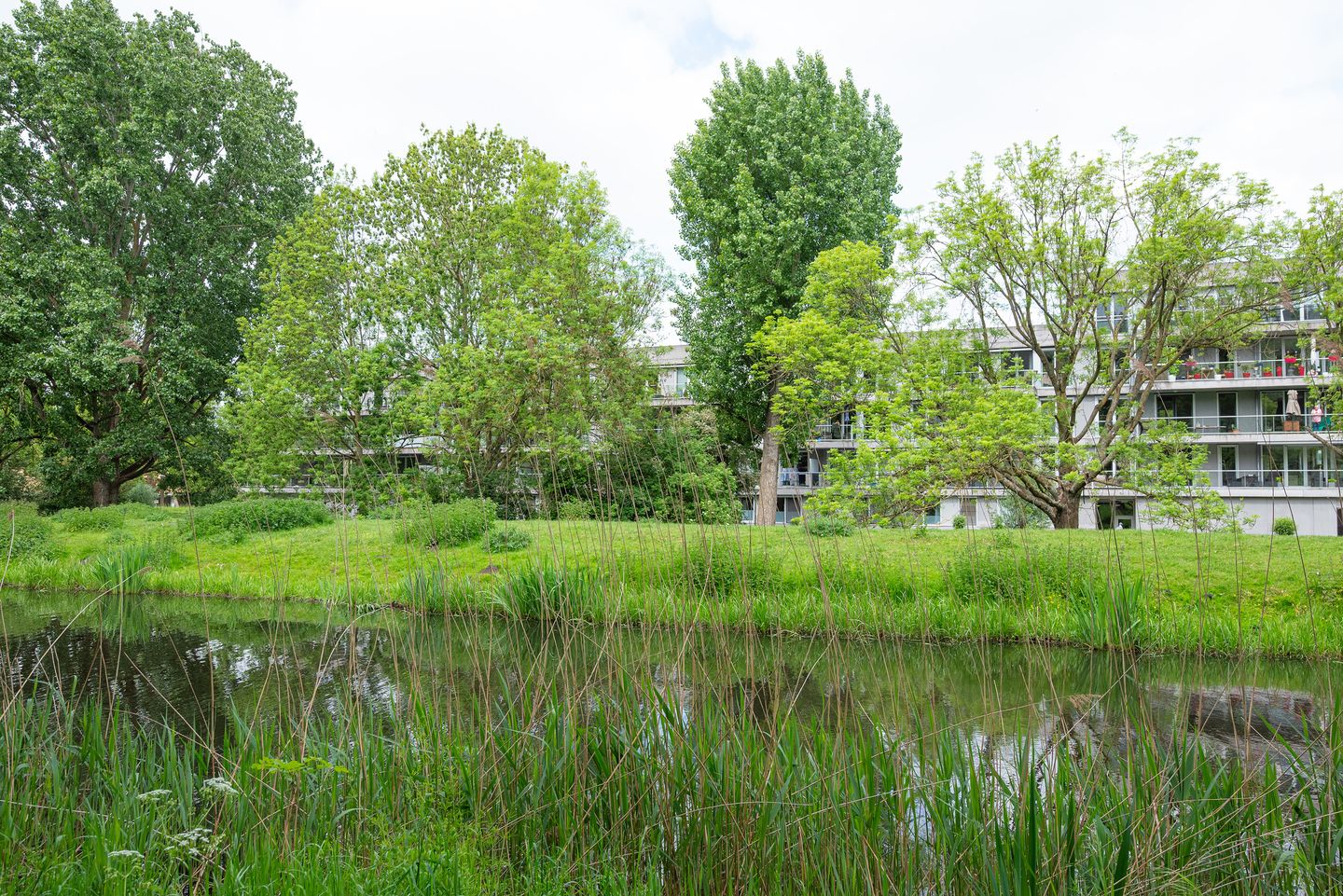 Foto 35 van Cantharel 52