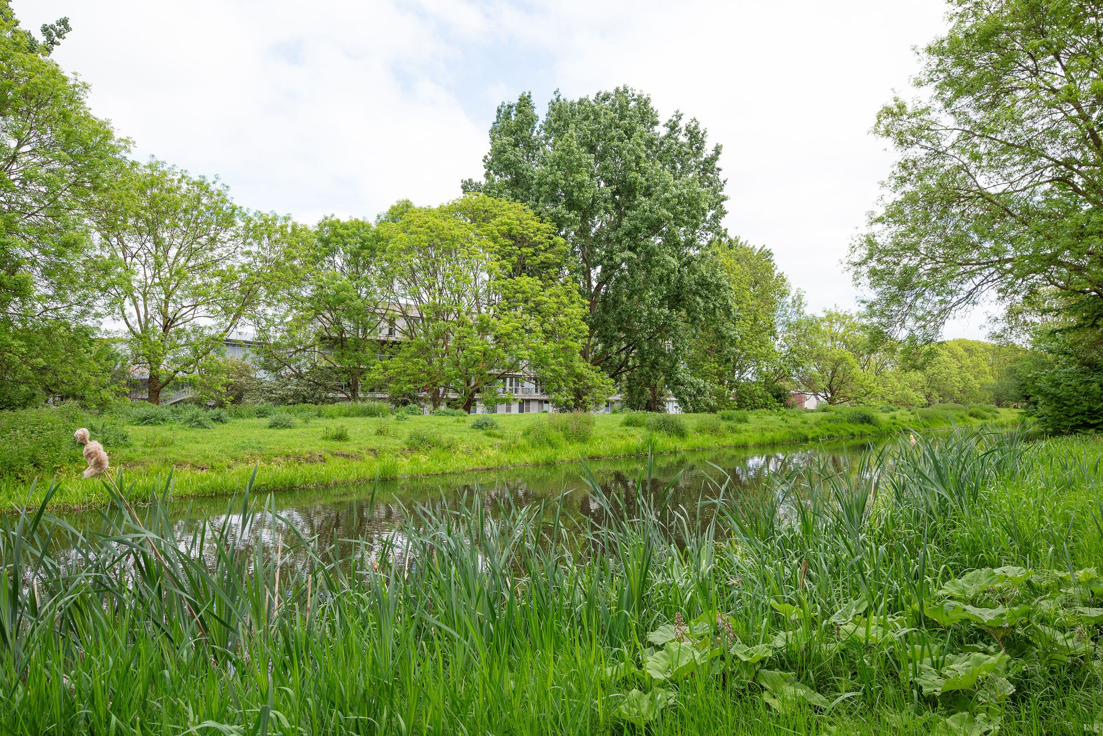 Foto 36 van Cantharel 52