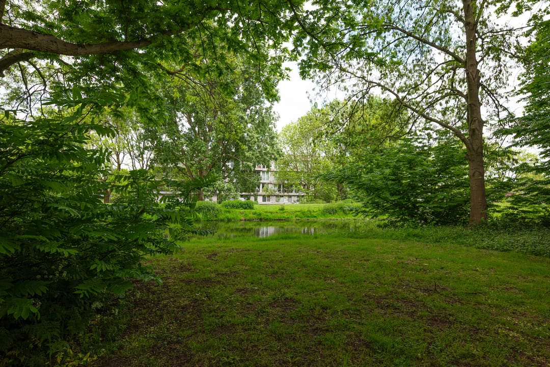 Foto 37 van Cantharel 52