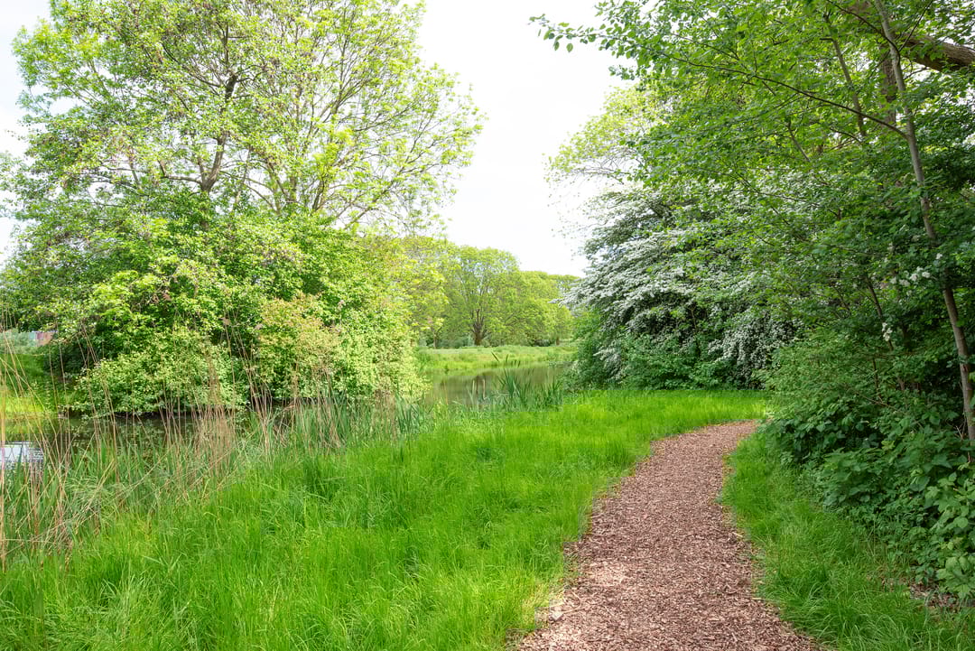 Foto 38 van Cantharel 52