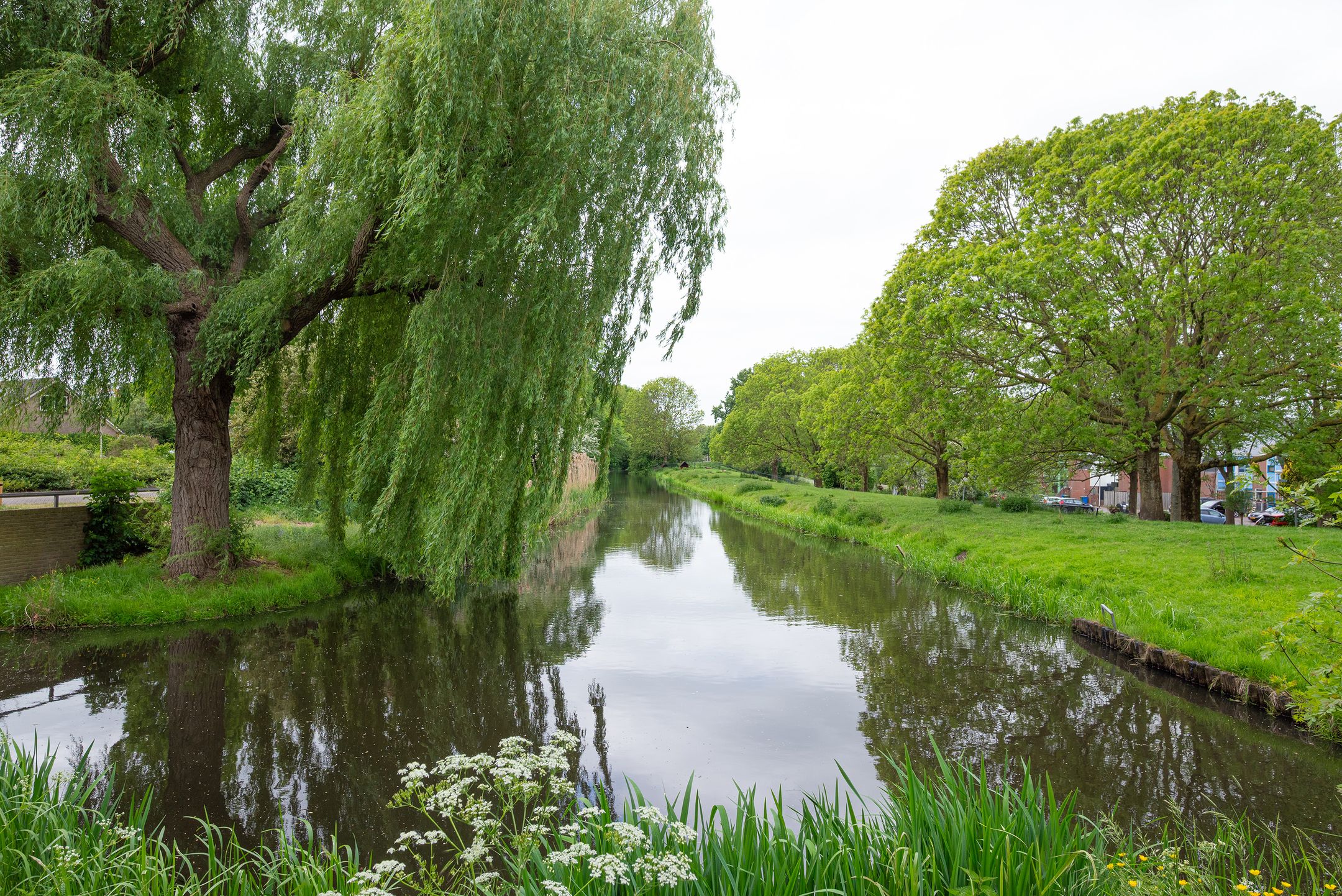 Foto 39 van Cantharel 52