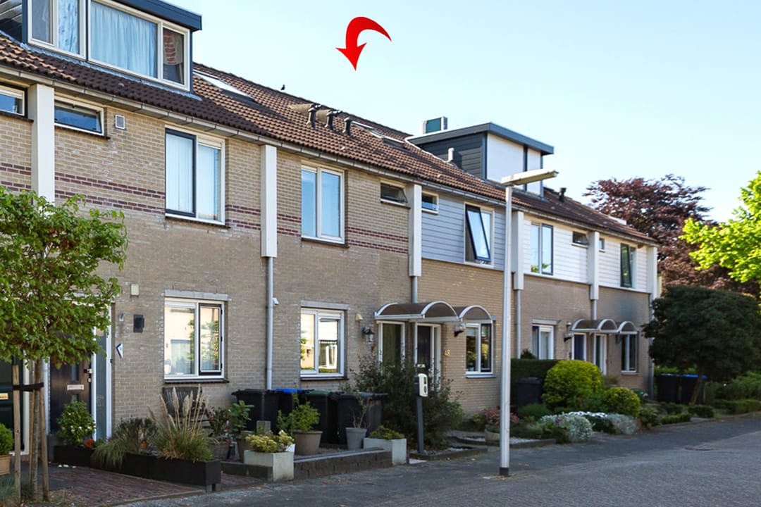 Foto 1 van Boekweitveld 50