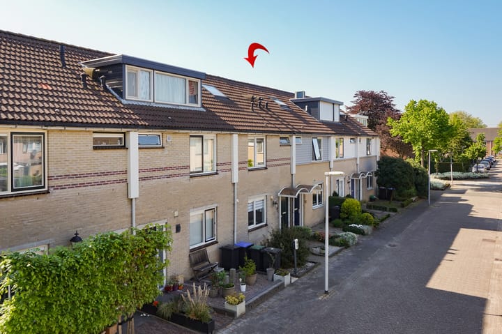 Foto 5 van Boekweitveld 50