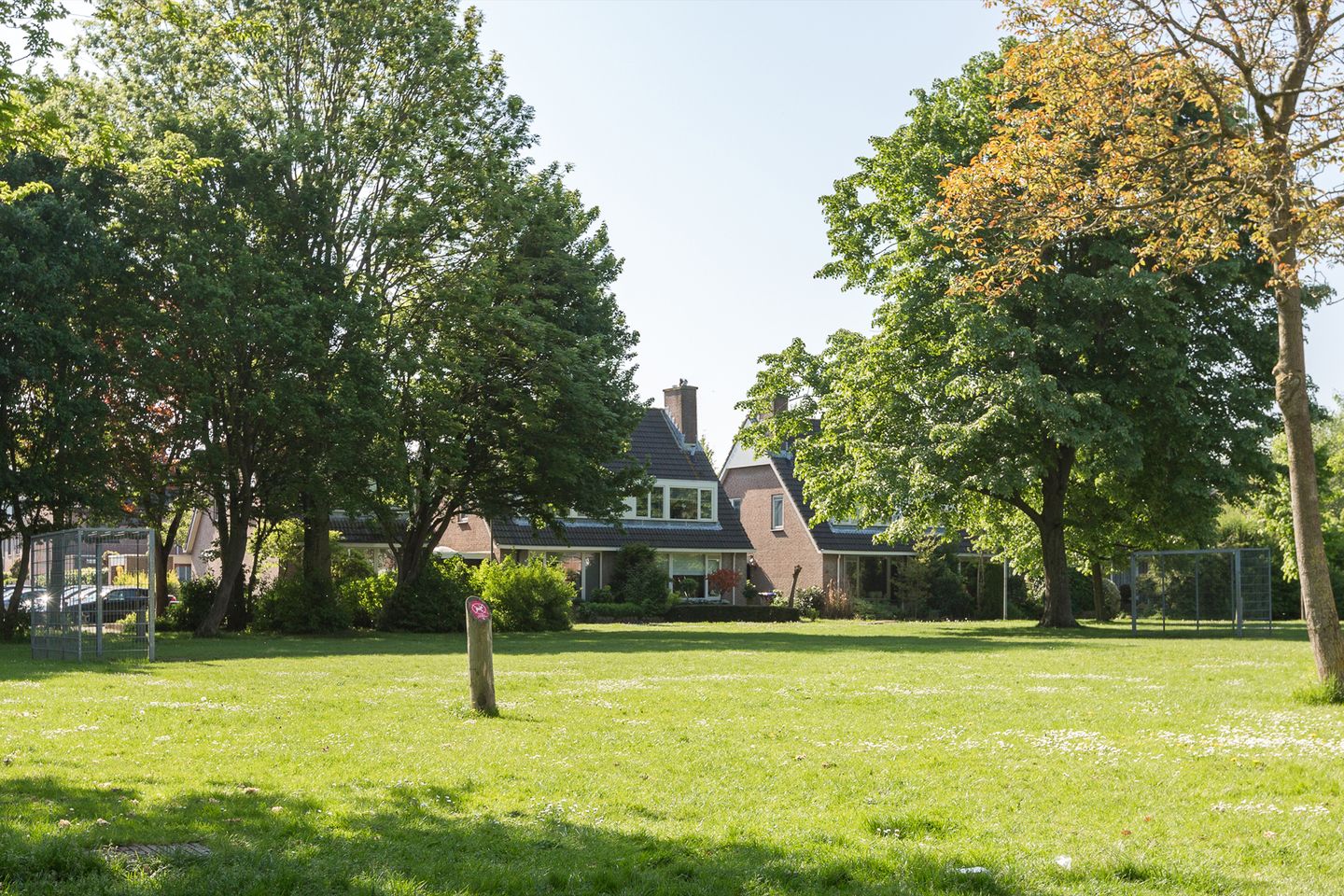 Foto 40 van Boekweitveld 50