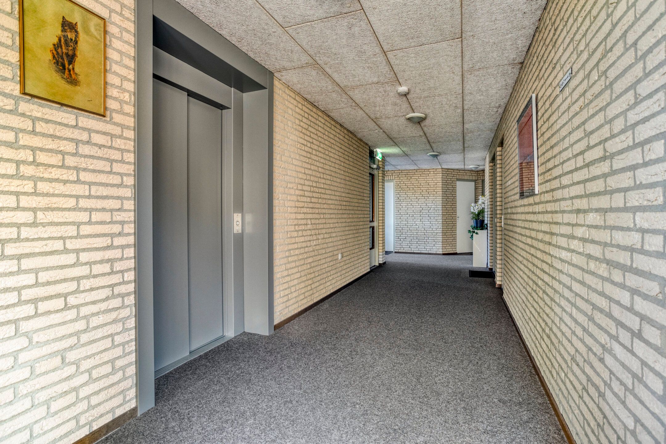 Foto 6 van Ringhof 5