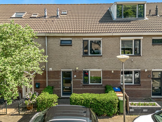 Pinksterbloem 17 main image