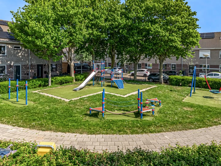 Foto 4 van Pinksterbloem 17