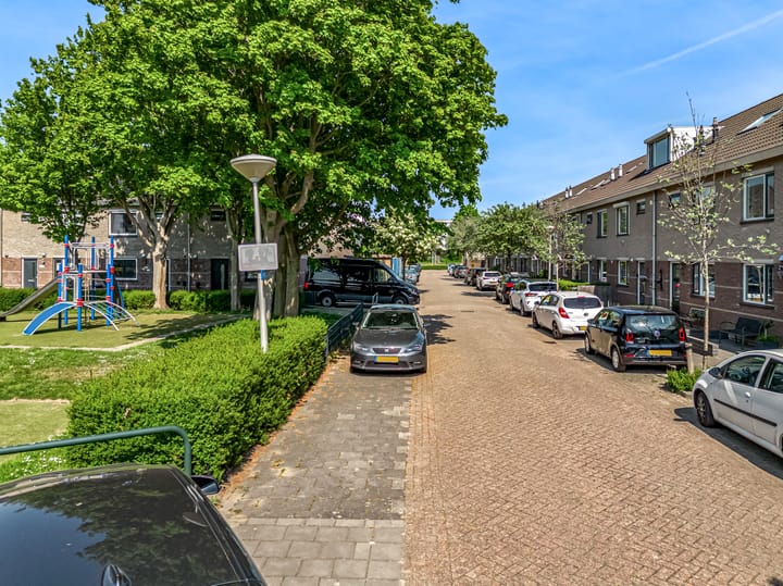 Foto 5 van Pinksterbloem 17