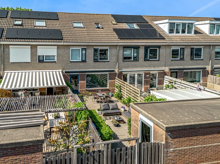 Foto 19 van Pinksterbloem 17