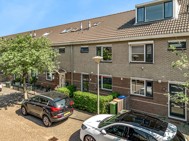 Foto 33 van Pinksterbloem 17