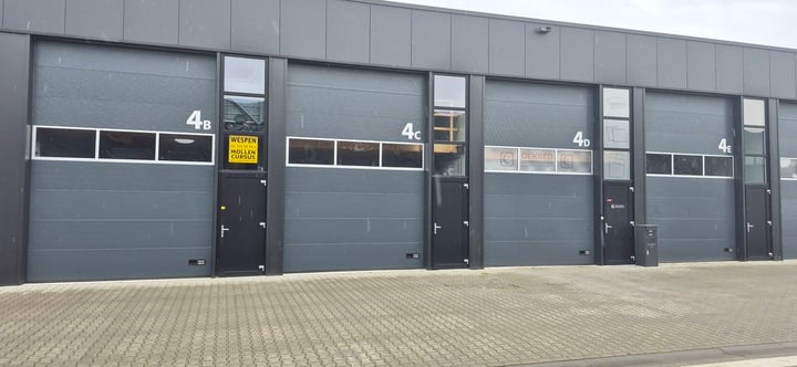 Steenkamp 4