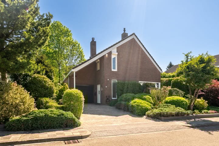 Foto 1 van Alexanderstraat 19