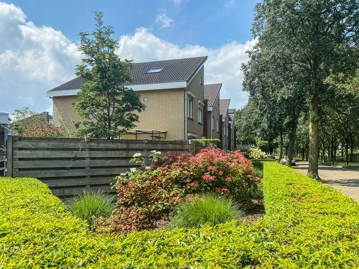 Foto 33 van Vierlanderstraat 2