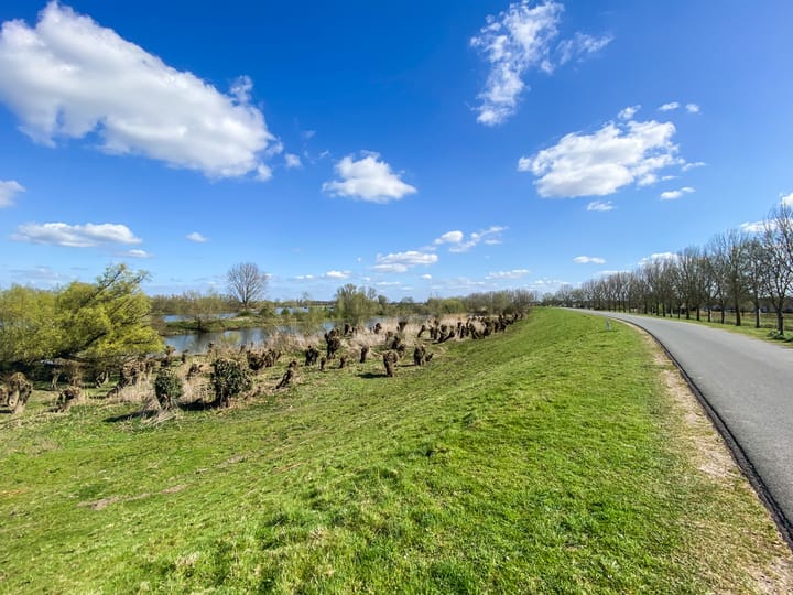 Foto 36 van Vierlanderstraat 2