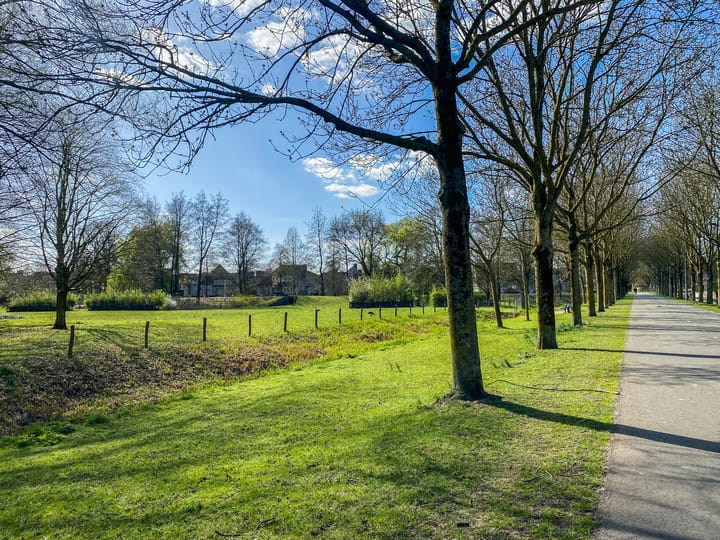 Foto 38 van Vierlanderstraat 2