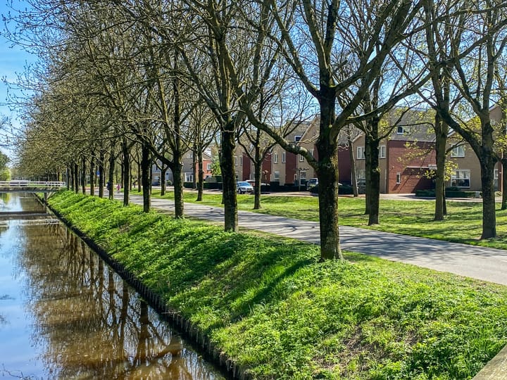 Foto 39 van Vierlanderstraat 2