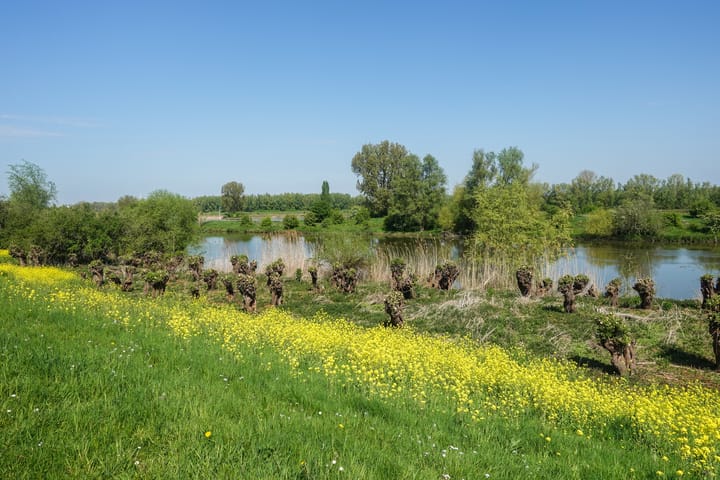 Foto 40 van Vierlanderstraat 2