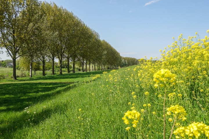 Foto 43 van Vierlanderstraat 2