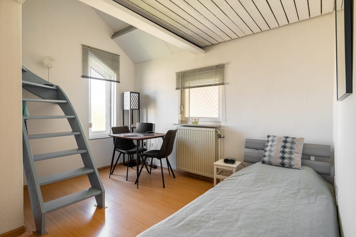 Foto 19 van Alexanderstraat 19