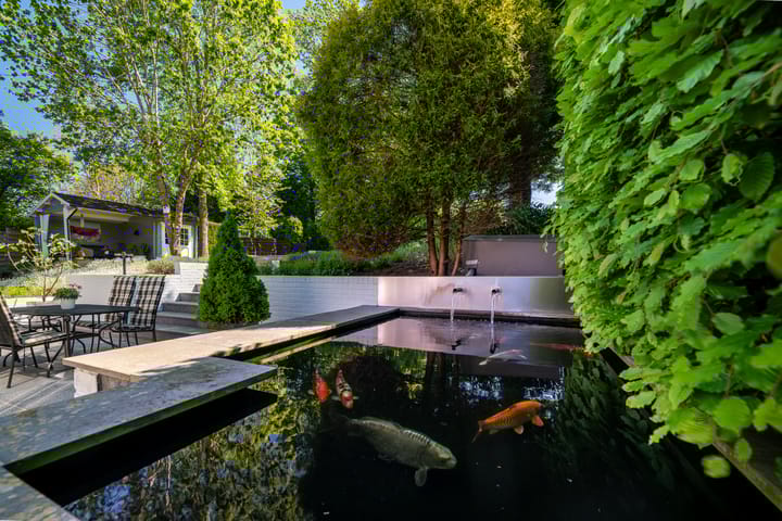 Foto 26 van Alexanderstraat 19