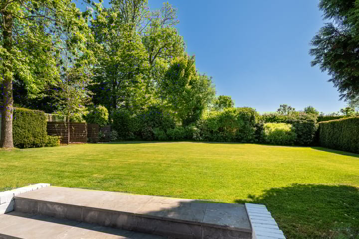 Foto 29 van Alexanderstraat 19