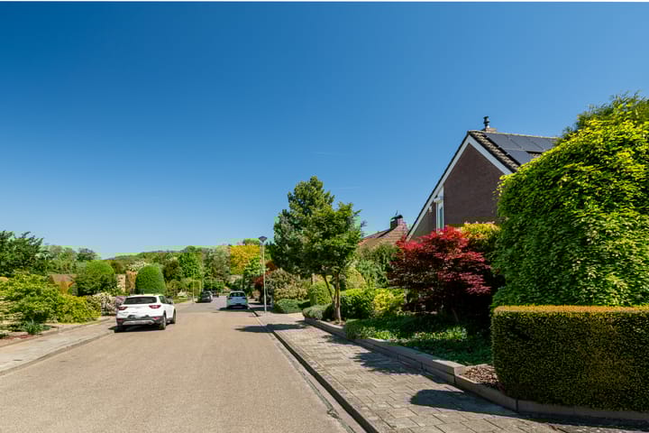 Foto 32 van Alexanderstraat 19