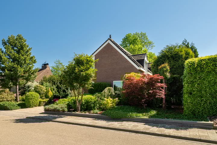 Foto 33 van Alexanderstraat 19