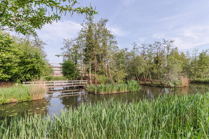 Foto 56 van Parkhof 21