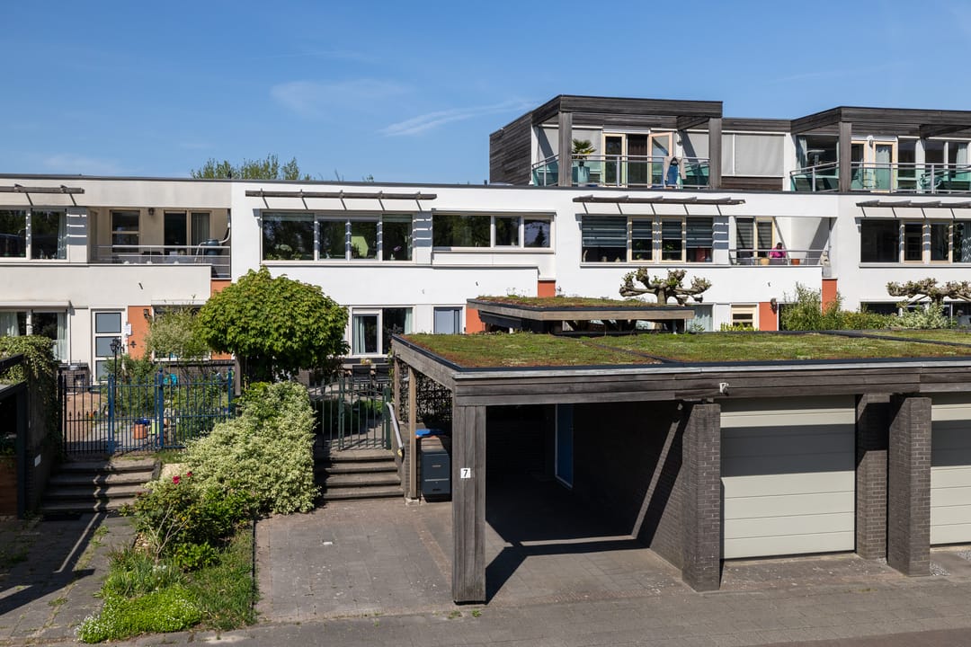 Foto 1 van Blauwtjes 7