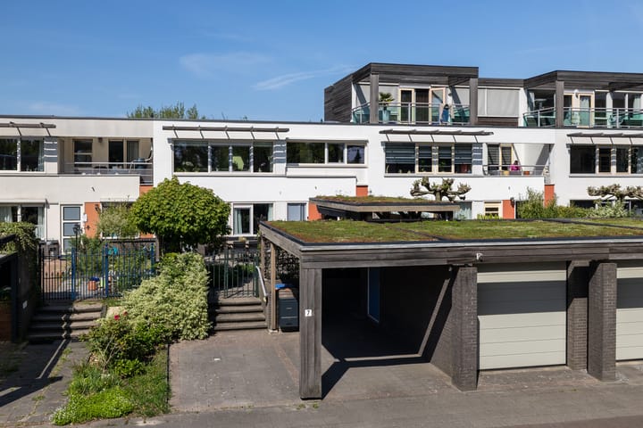 Foto 1 van Blauwtjes 7