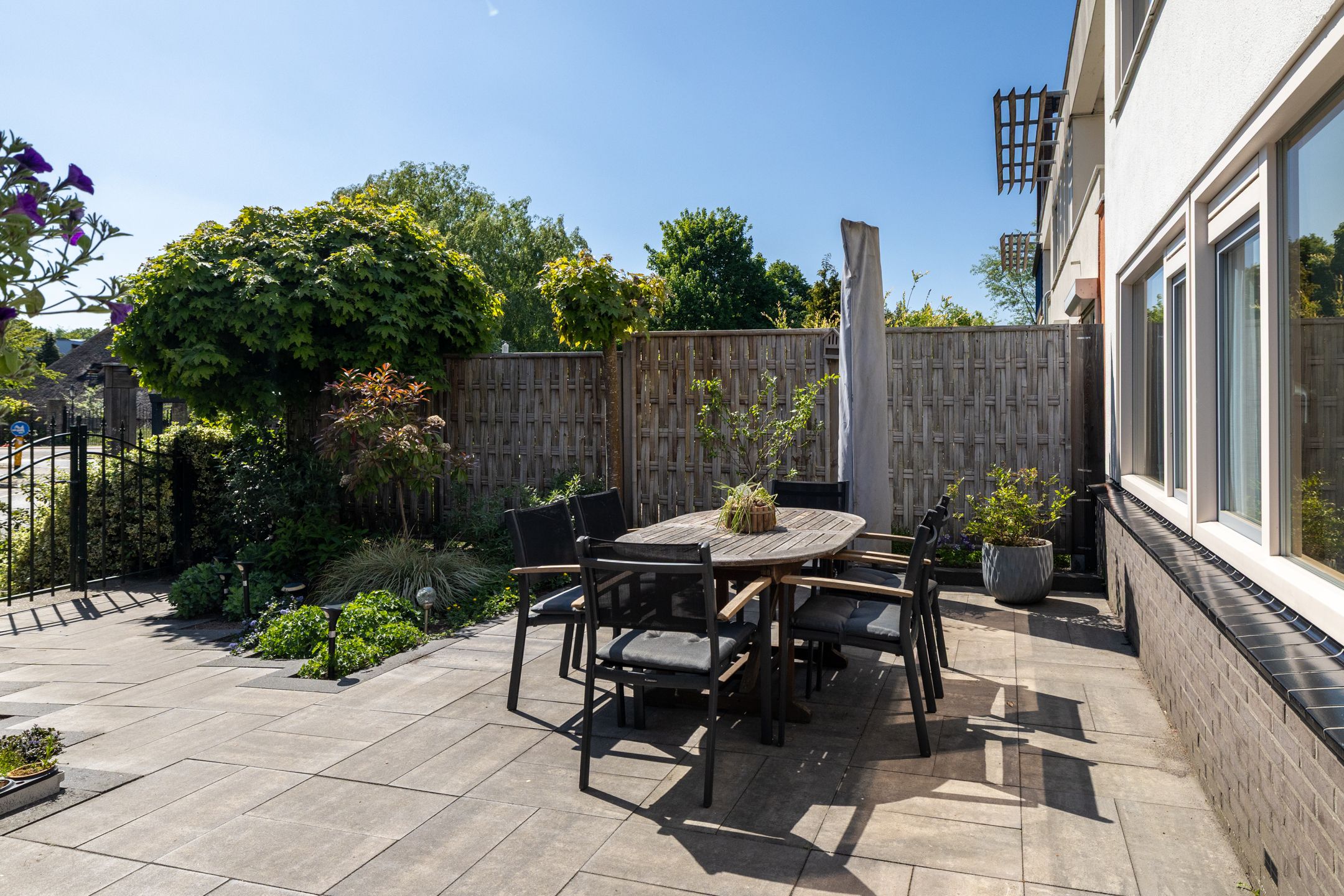 Foto 42 van Blauwtjes 7