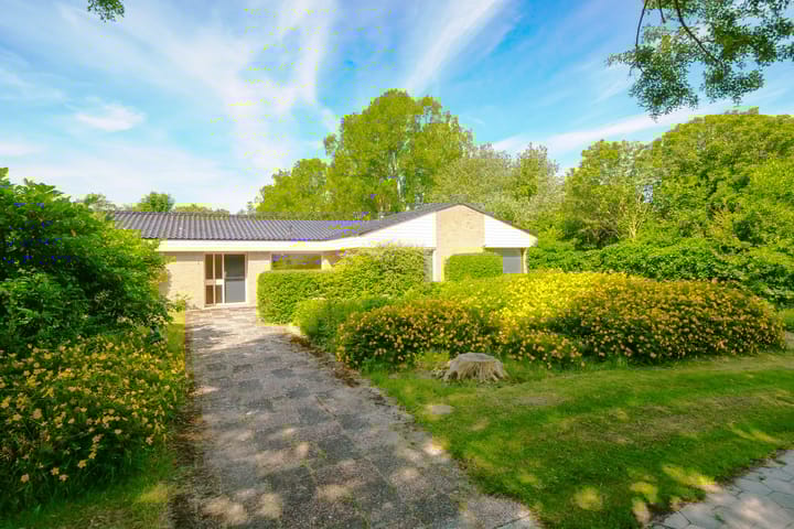 Photo 5 of Dollardlaan 1