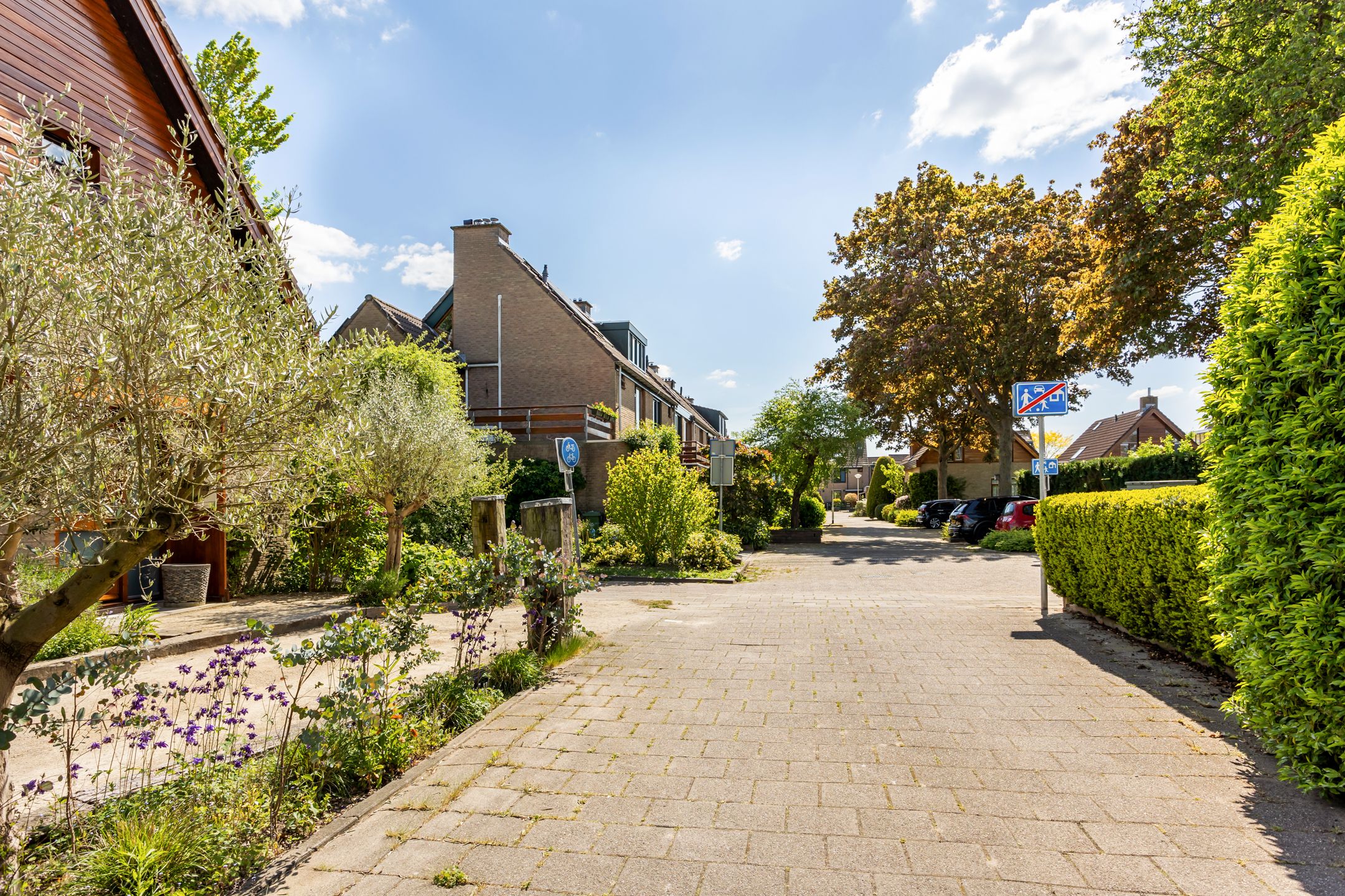 Photo 45 of Pinaskade 50