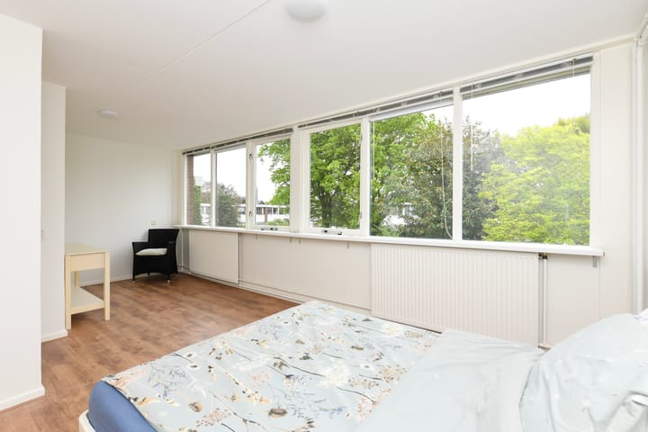 Foto 10 van Kolkrijst 73