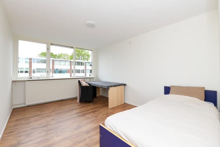 Foto 16 van Kolkrijst 73