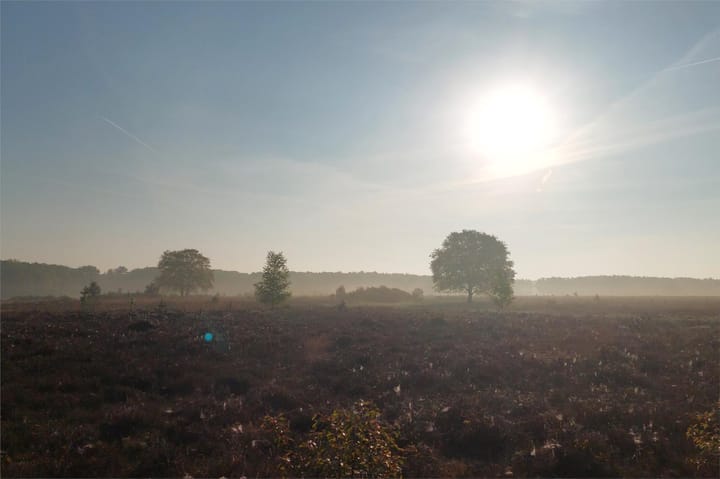 Foto 29 van Willem Barentszstraat 63