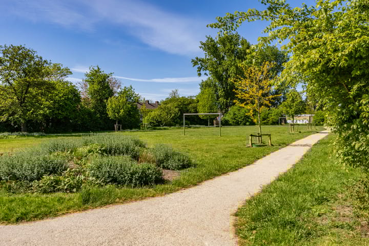 Foto 44 van Jupiterstraat 2