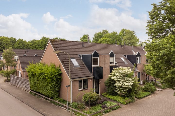 Foto 2 van Willem Dreeslaan 261