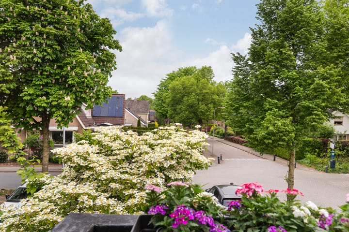 Photo 21 of Willem Dreeslaan 261